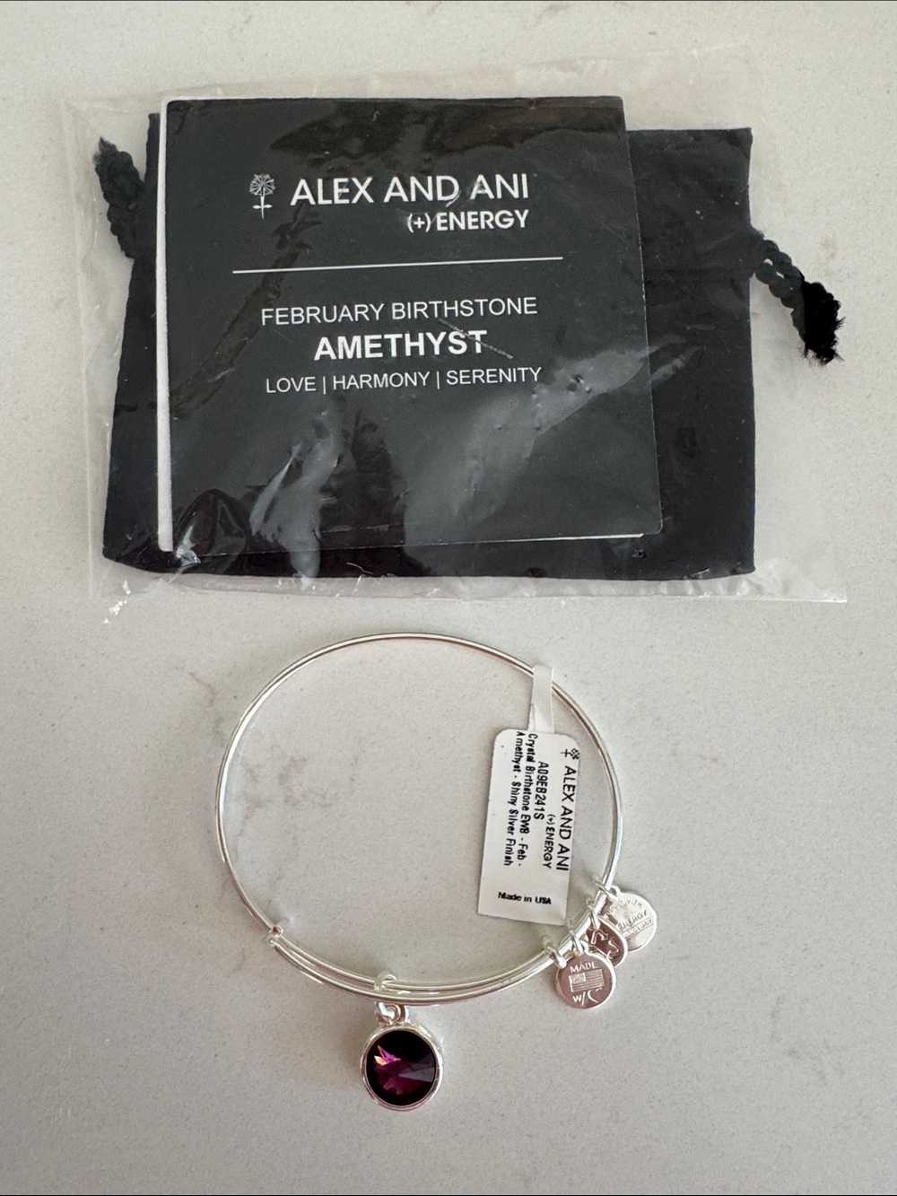 Alex and Ani Silver Bangle with Amethyst Charm - Purple